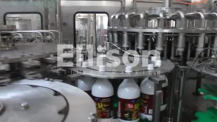 1대의 애완 동물 물 병 채우게 자동적인 세척 채우는 모자를 씌우는 기계에 대하여 Monoblock 3