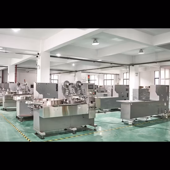 자동 다기능 더블